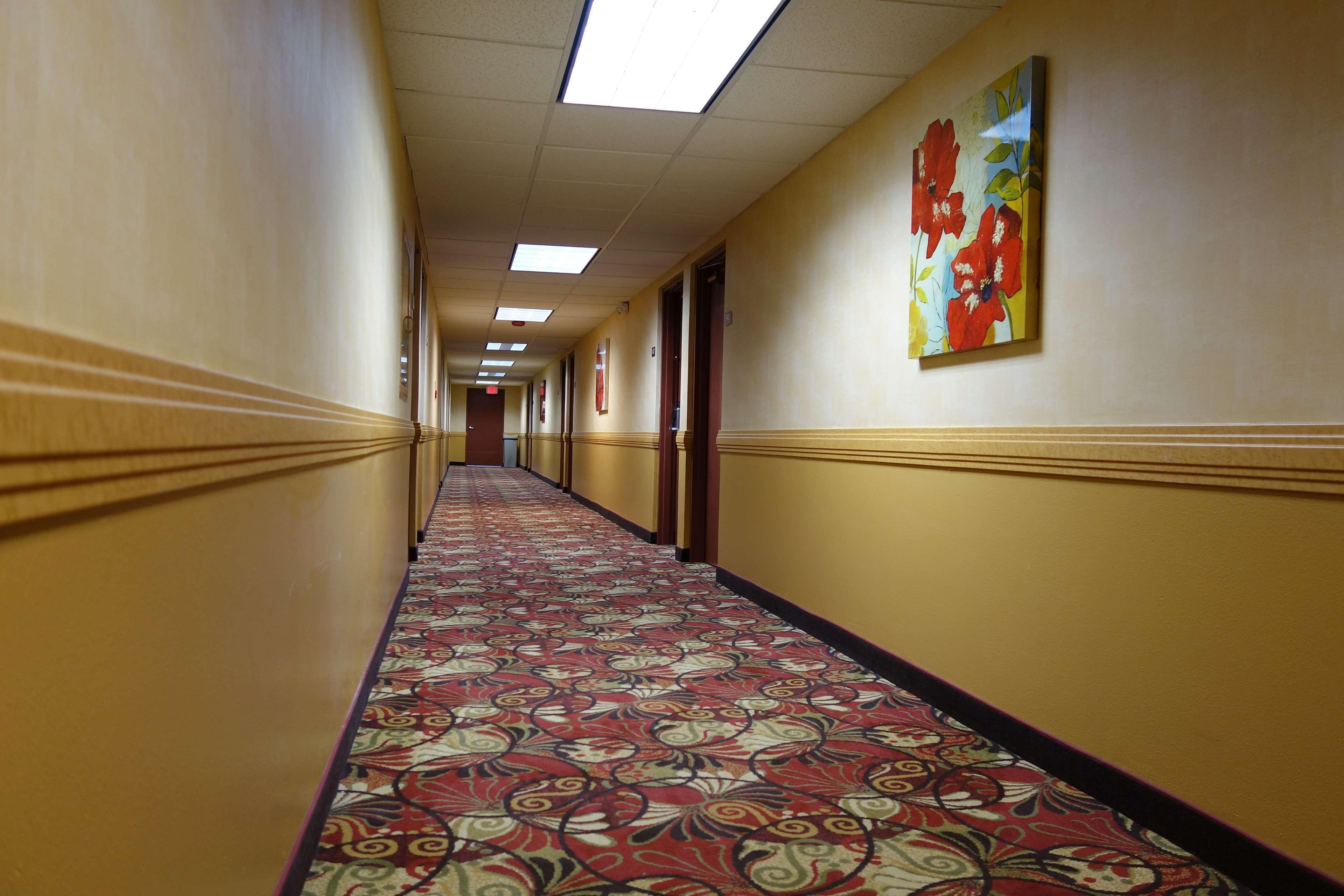 Ramada By Wyndham Sacramento Hotel North Highlands Buitenkant foto